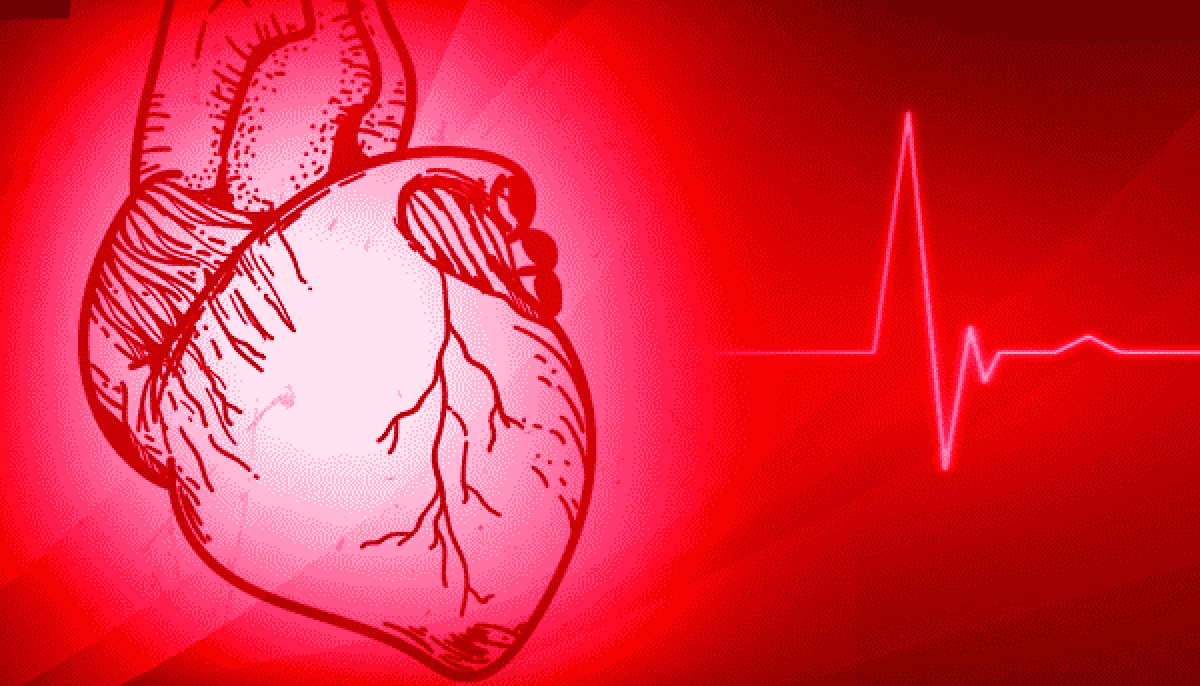 القلب الطبيعي ضربات معدل المعدل الطبيعي