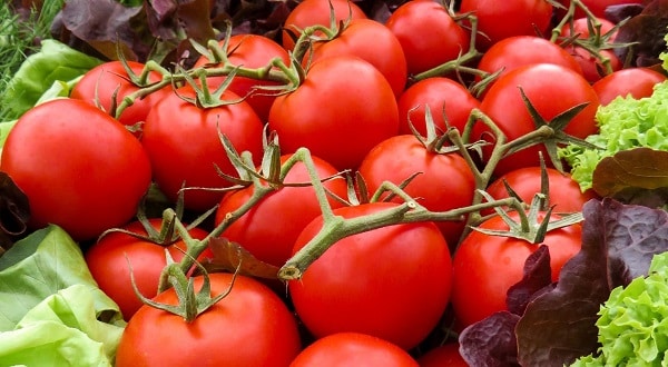 نسبة الكربوهيدرات في الطماطم