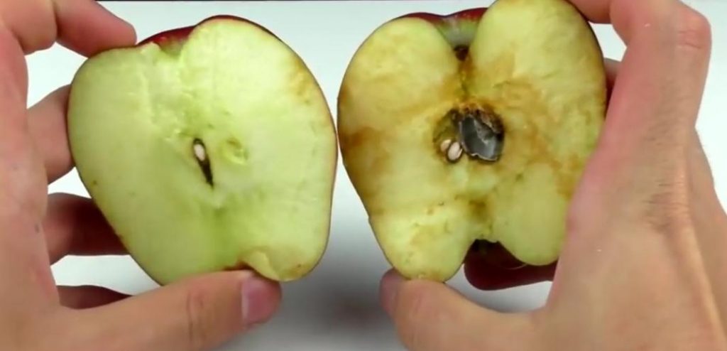 هل التفاح يزيد الوزن ام ينقصه؟